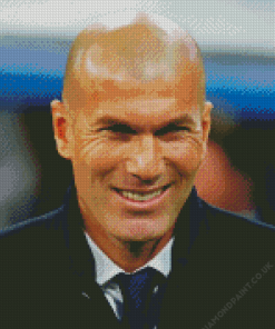 Handsome Zinedine Zidane Diamond Painting