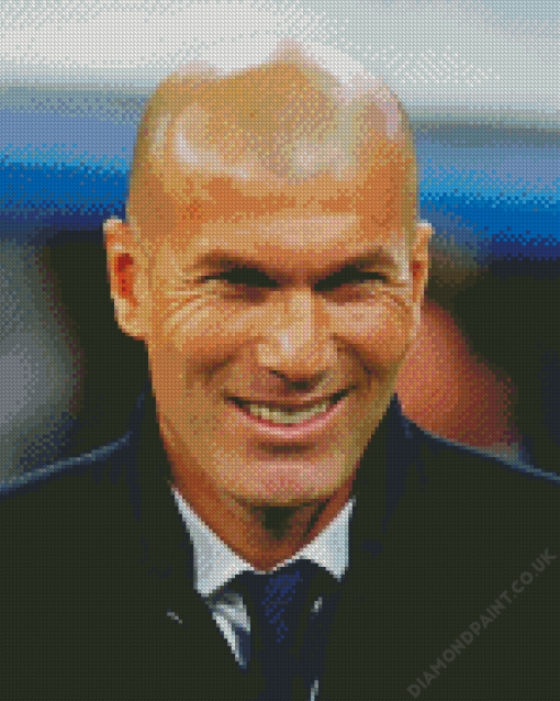 Handsome Zinedine Zidane Diamond Painting