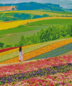 Hokkaido Japan Diamond Painting