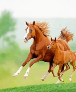 Horse And Colt Diamond Painting