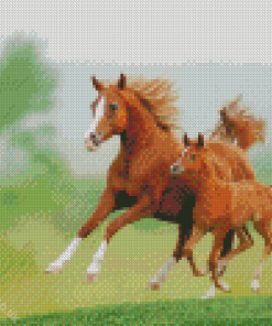 Horse And Colt Diamond Painting