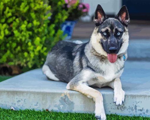 Husky Shepherd Dog Diamond Painting