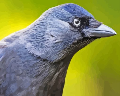 Jackdaw Diamond Painting