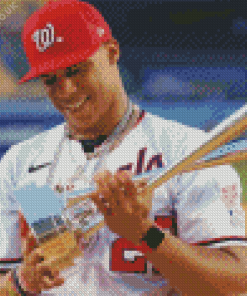 Juan Soto Diamond Painting