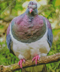 Kereru Bird Diamond Painting