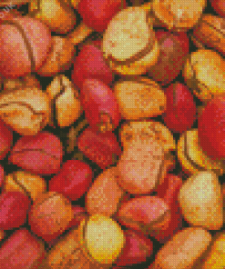 Kola Nut Diamond Painting