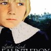 Little Lord Fauntleroy Diamond Painting