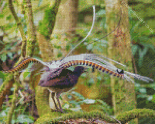 Lyrebird Animal Diamond Painting