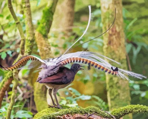 Lyrebird Animal Diamond Painting