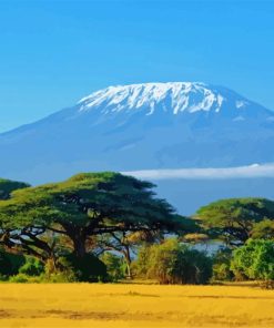 Mount Kilimanjaro Diamond Painting