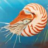 Nautilus Art Diamond Painting