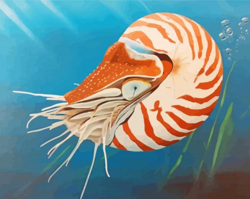 Nautilus Art Diamond Painting