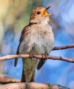 Nightingale Singing Diamond Painting