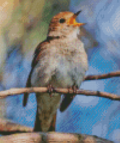 Nightingale Singing Diamond Painting