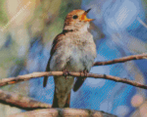 Nightingale Singing Diamond Painting