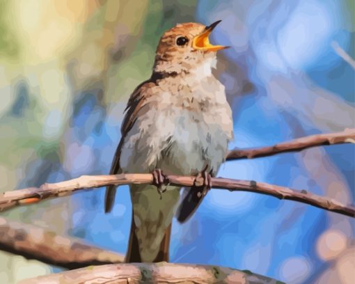 Nightingale Singing Diamond Painting