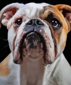 Old English Bulldog Diamond Painting