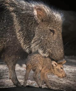 Peccaries Diamond Painting