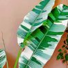 Philodendron Leaves Diamond Painting