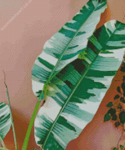 Philodendron Leaves Diamond Painting