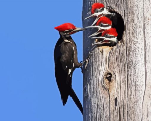 Pileated Woodpecker Diamond Painting