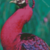 Pink Peacock Diamond Painting VV