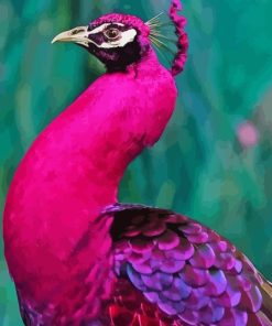 Pink Peacock Diamond Painting