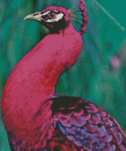 Pink Peacock Diamond Painting VV