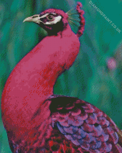 Pink Peacock Diamond Painting VV