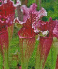 Purple Carnivorous Plant Diamond Painting