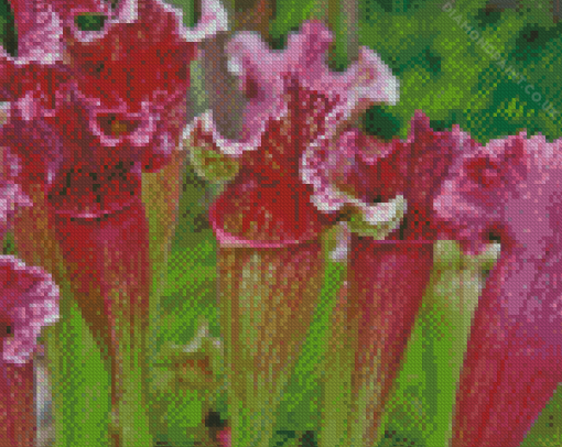 Purple Carnivorous Plant Diamond Painting