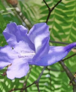 Purple Jacaranda Diamond Painting