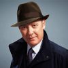 Raymond Reddington Diamond Painting