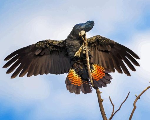 Red Tail Black Cockatoo Diamond Painting