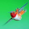 Rufous Hummingbird Flying Diamond Painting