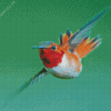 Rufous Hummingbird Flying Diamond Painting