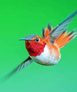 Rufous Hummingbird Flying Diamond Painting