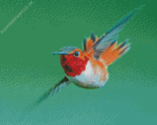 Rufous Hummingbird Flying Diamond Painting