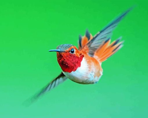 Rufous Hummingbird Flying Diamond Painting