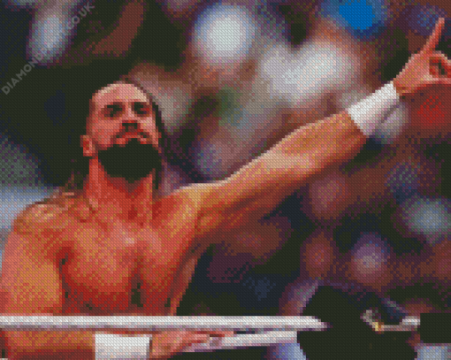 Seth Rollins Diamond Painting