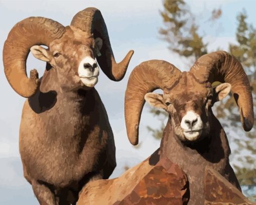 Sheeps With Horns Diamond Painting