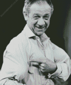 Sid James Diamond Painting