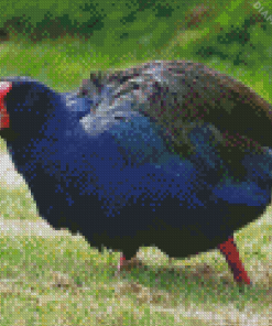 South Island Takahe Diamond Painting