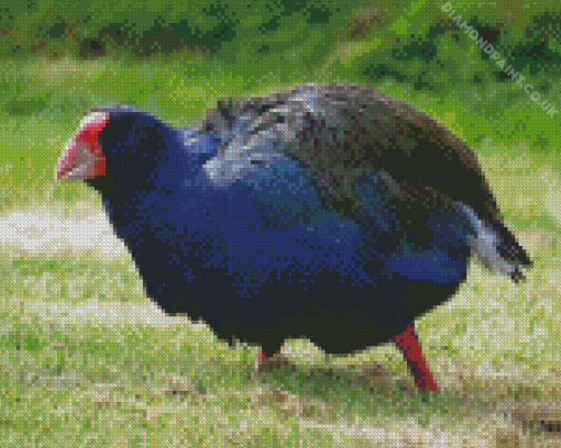 South Island Takahe Diamond Painting