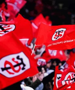 Stade Toulousain Flags Diamond Painting