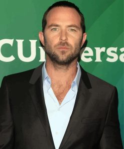 Sullivan Stapleton Diamond Painting