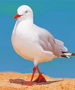 The Seagull Bird Diamond Painting