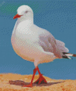 The Seagull Bird Diamond Painting