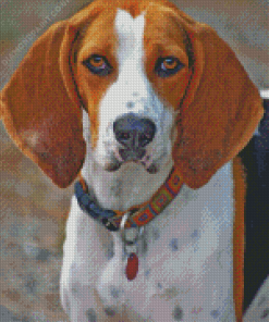 Treeing Walker Coonhound Diamond Painting