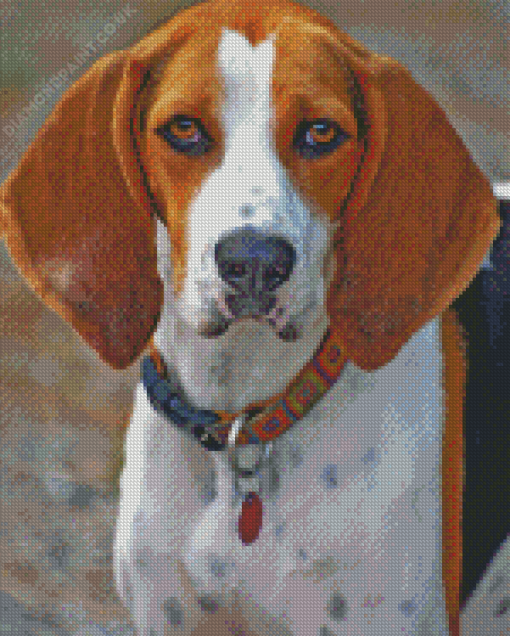 Treeing Walker Coonhound Diamond Painting